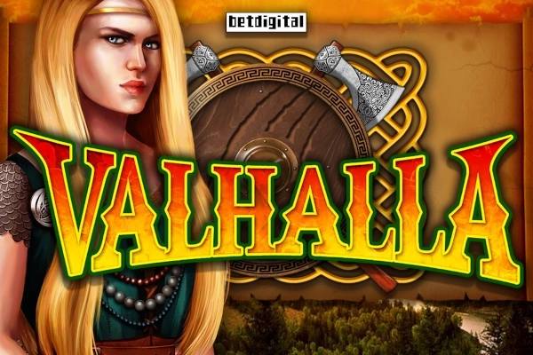 13213 valhalla